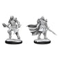 D&D Nolzurs Marvelous Unpainted Miniatures Dragonborn Fighter Female