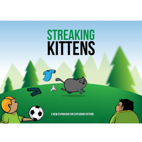 Streaking Kittens