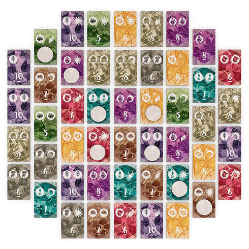Spirits of the Forest Board Game