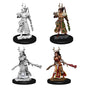 D&D Nolzurs Marvelous Unpainted Miniatures Female Human Druid