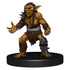 Dungeons & Dragons Icons of the Realms Goblin Warband