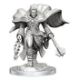 D&D Nolzurs Marvelous Unpainted Miniatures Aasimar Cleric Male