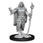 D&D Nolzurs Marvelous Unpainted Miniatures Human Druid Male