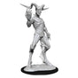 D&D Nolzurs Marvelous Unpainted Miniatures Nightwalker